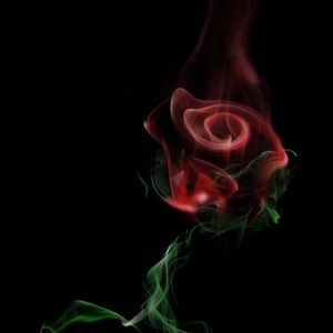 Meet your Posher, Connor